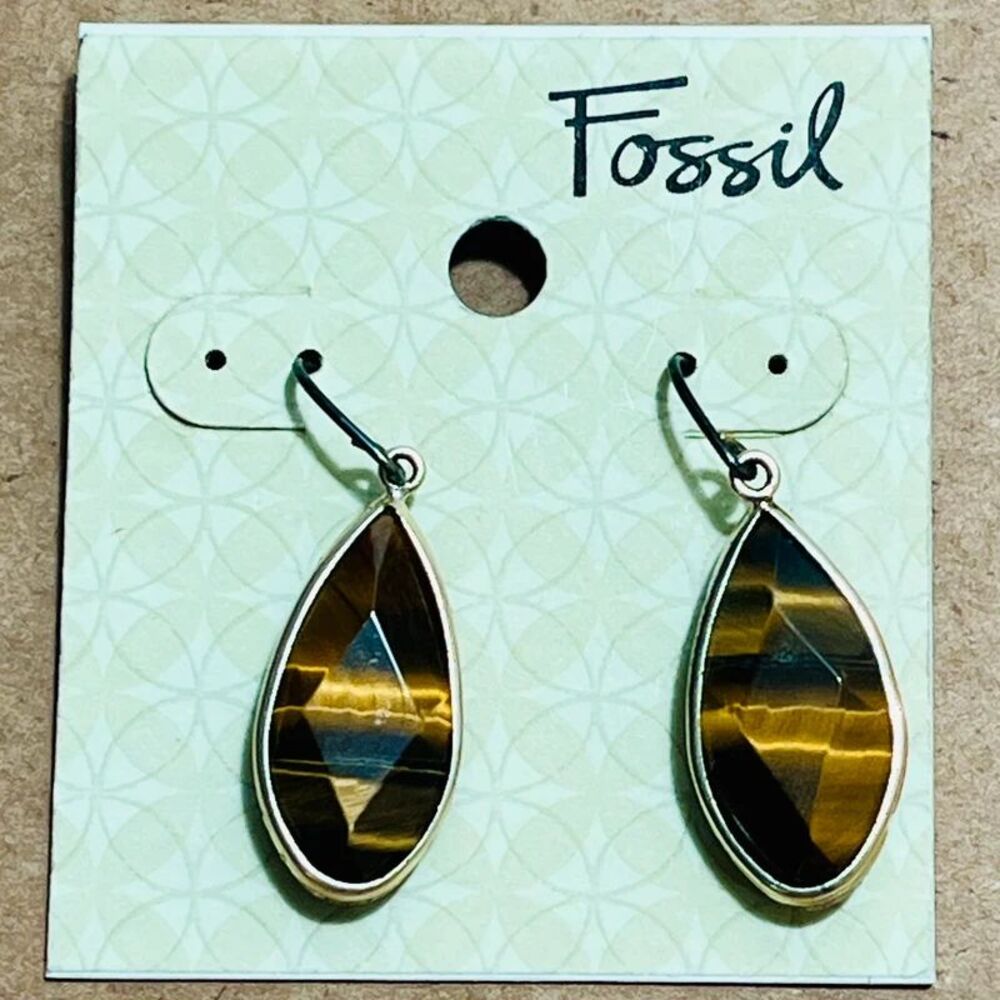 Fossil Tiger’s Eye Teardrop Dangle Earrings